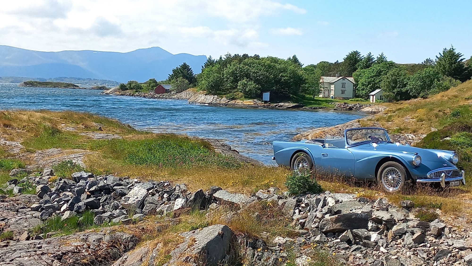 Norweigian Fjords