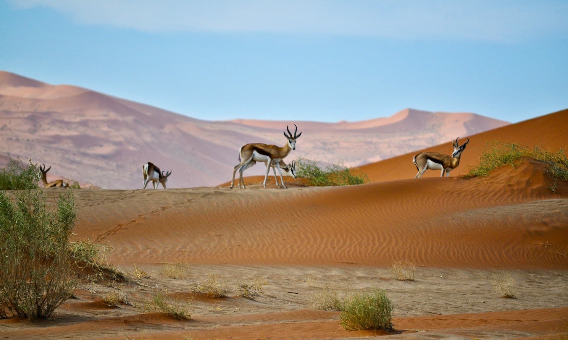 South to Sossusvlei - 190 miles