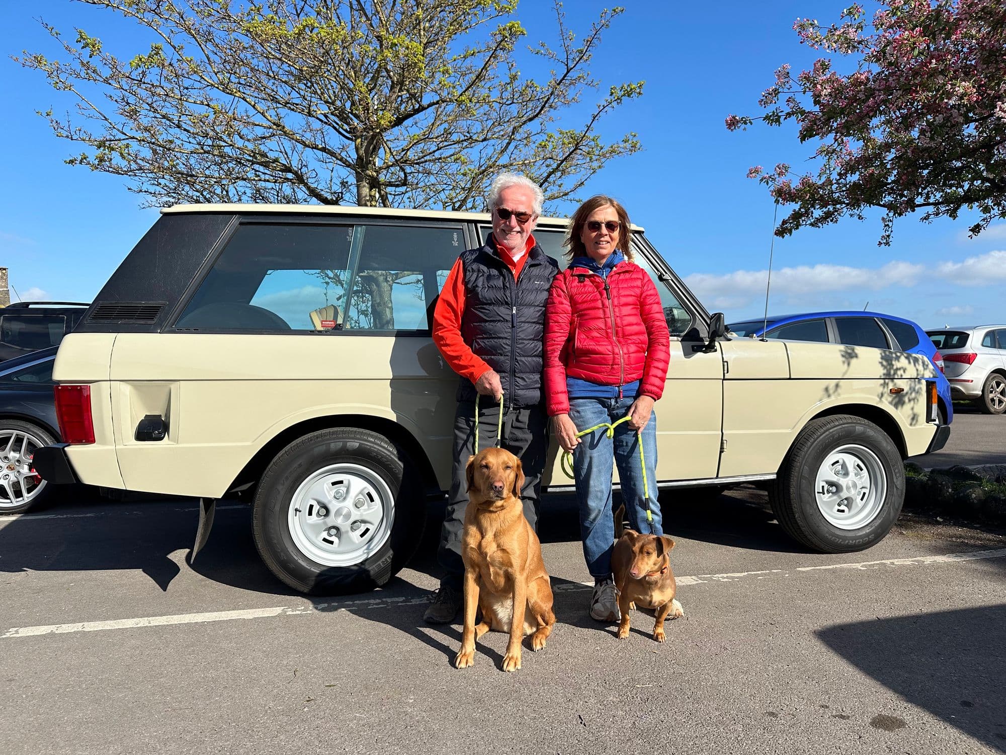 Peak District Canine Car Tour