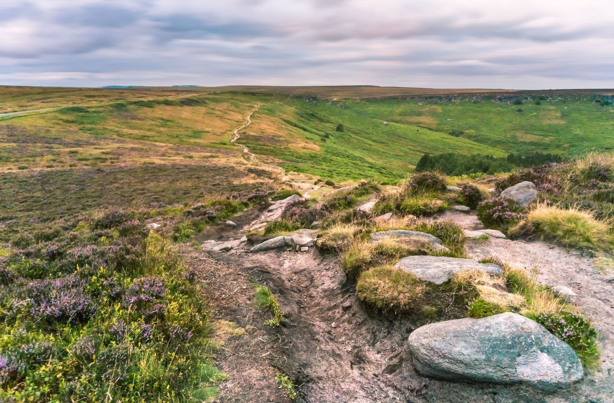 Peak District Canine Car Tour