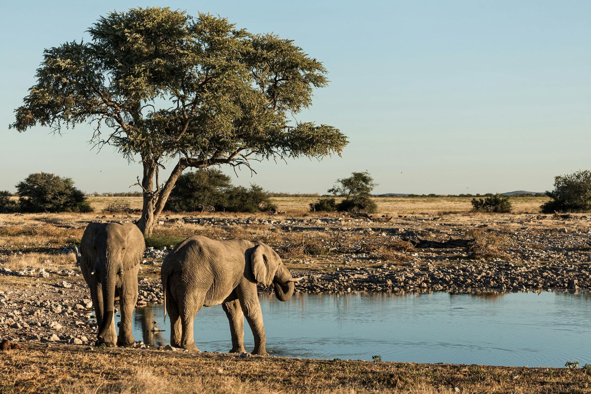Drive to Etosha - 167 miles